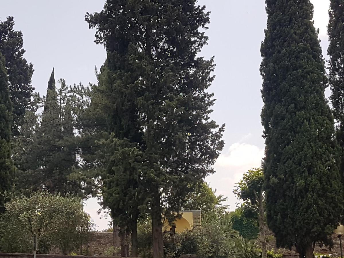 Piccolo Poggio Apartments Firenze Eksteriør bilde